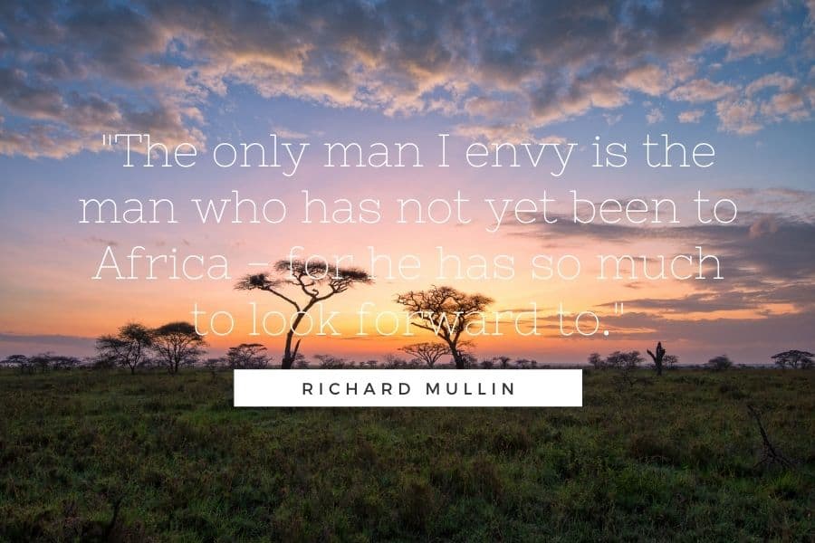 best safari quotes