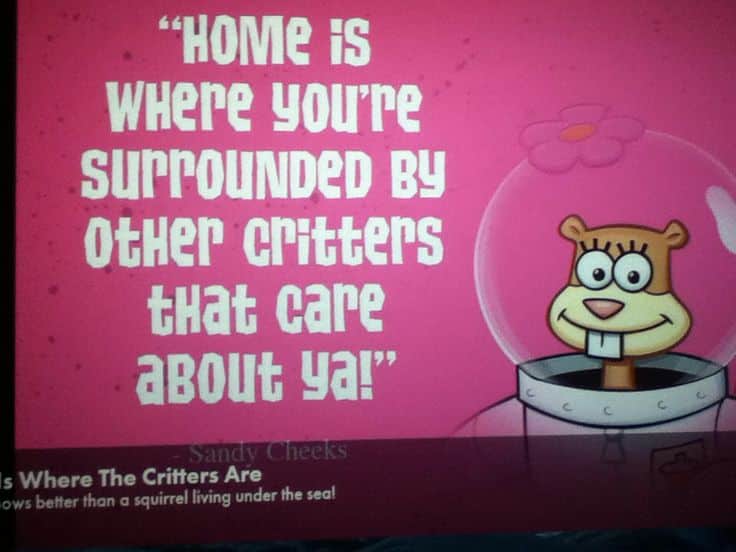 best sandy cheeks quotes