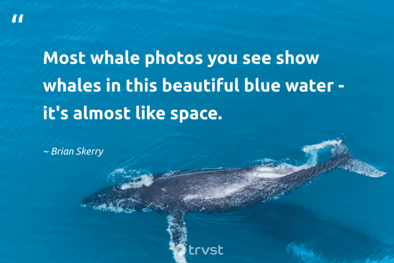 best seaworld quotes