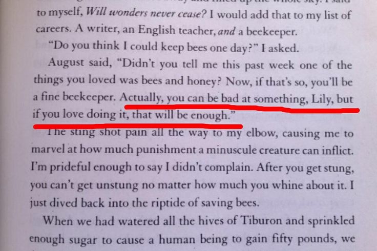 best secret life of bees quotes with page numbers