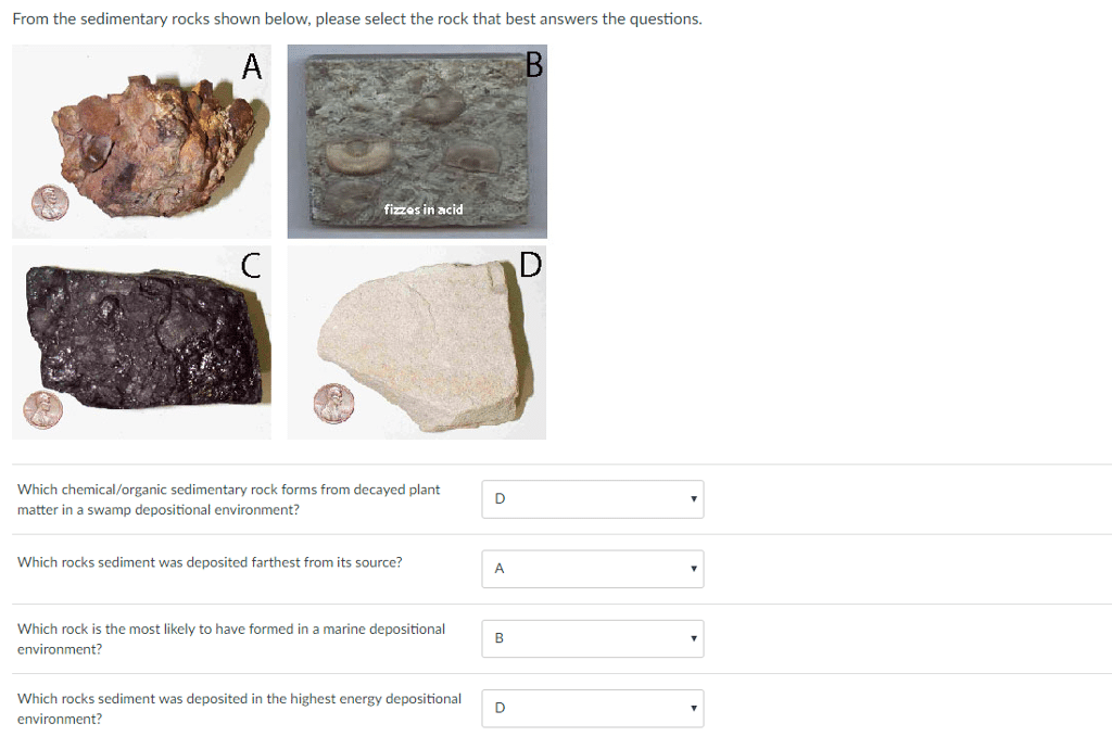 best sedimentary rocks questions
