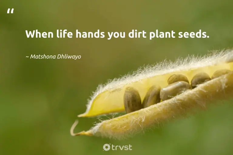 best seed quotes