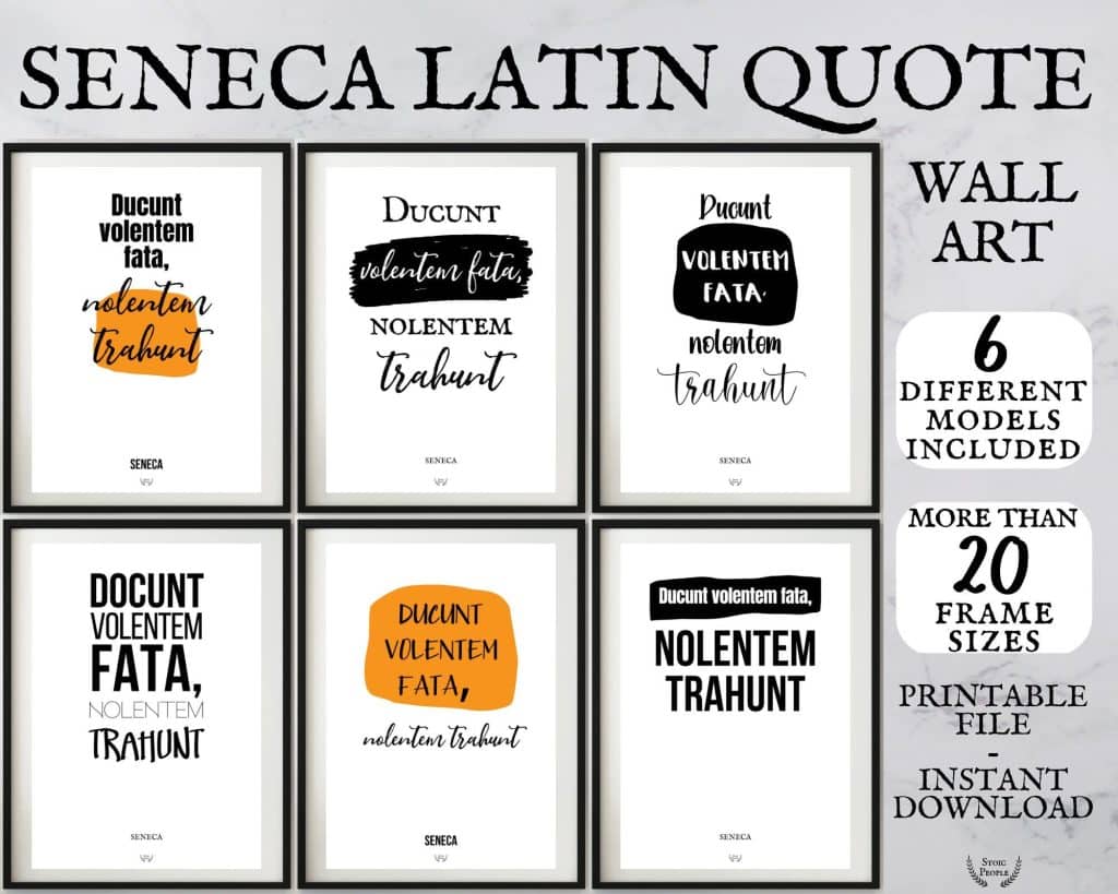 best seneca quotes in latin