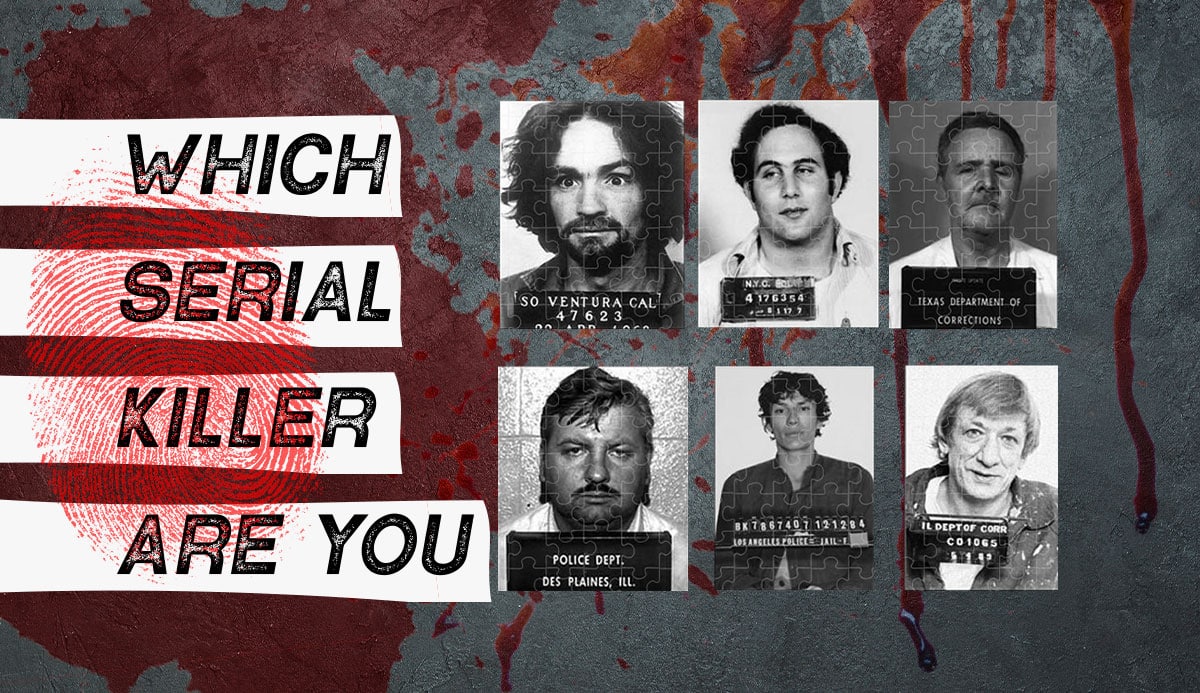 best serial killer questions