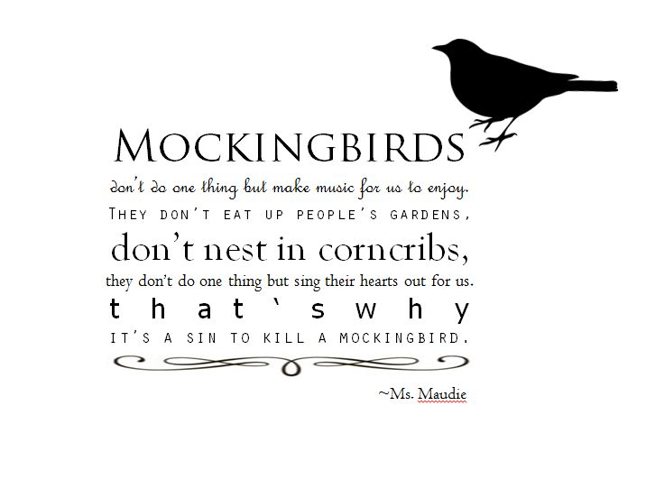 best sexism quotes in to kill a mockingbird