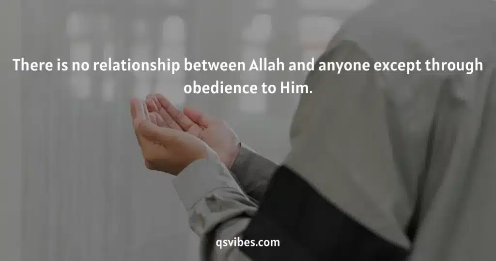 best sharia law quran quotes