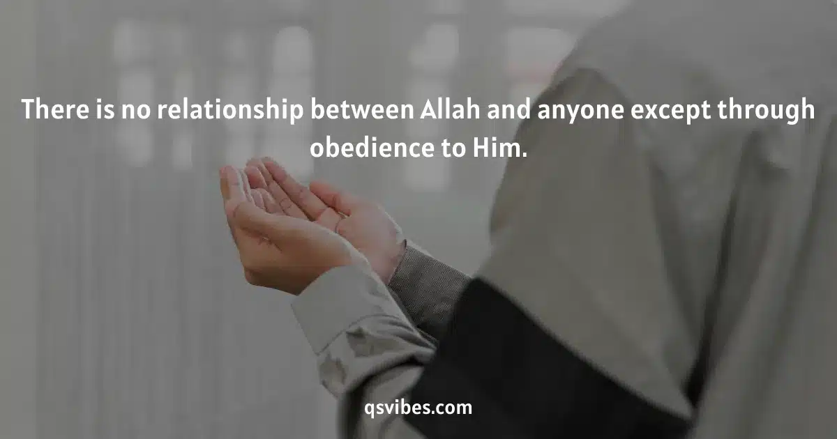 best sharia law quran quotes