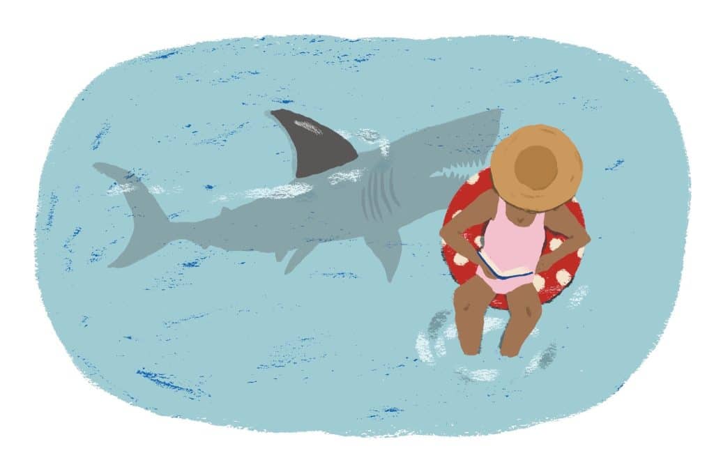 best shark questions