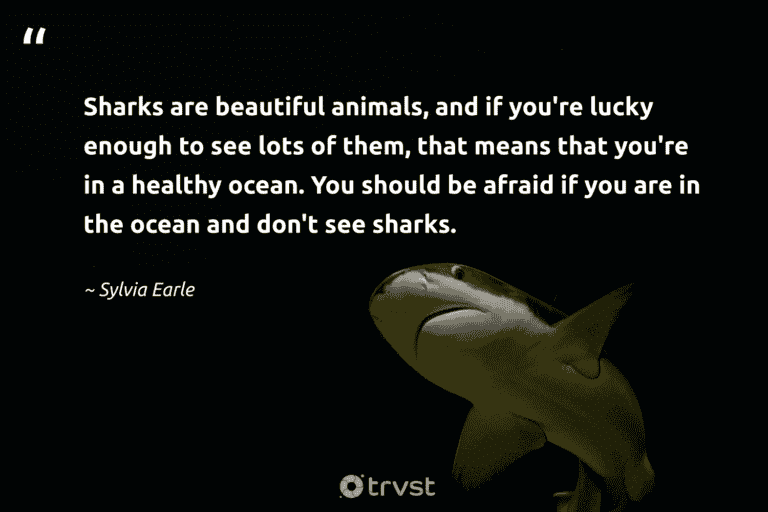 best shark tales quotes