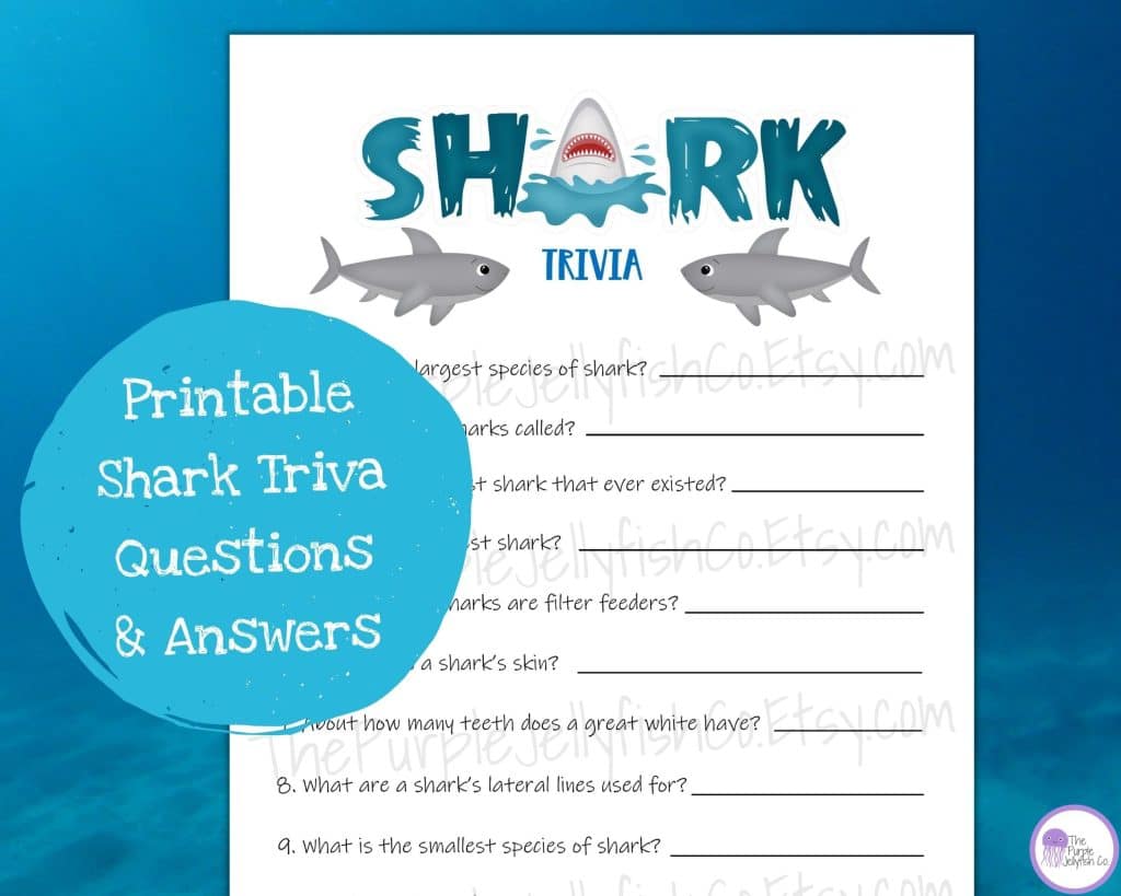 best shark trivia questions