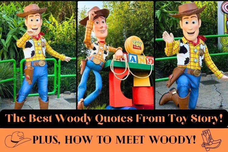 best sheriff woody quotes