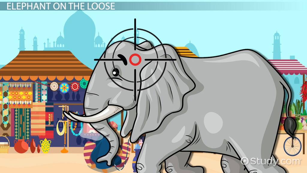 best shooting an elephant questions and answers