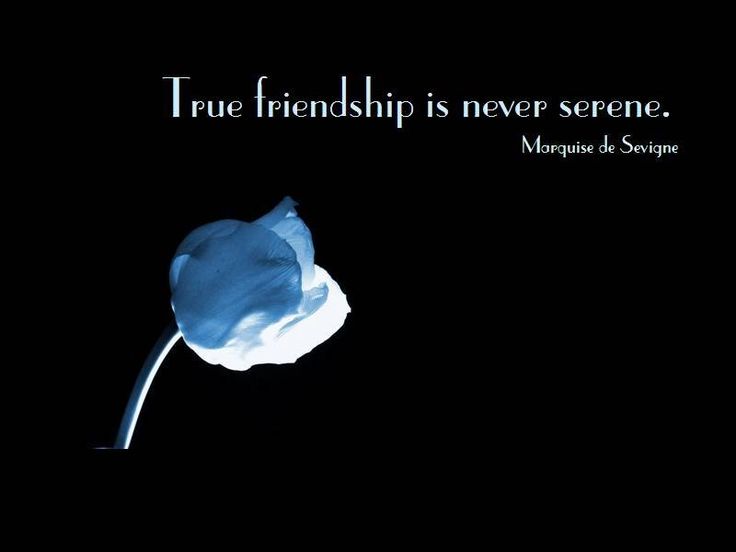 best short heart melting quotes