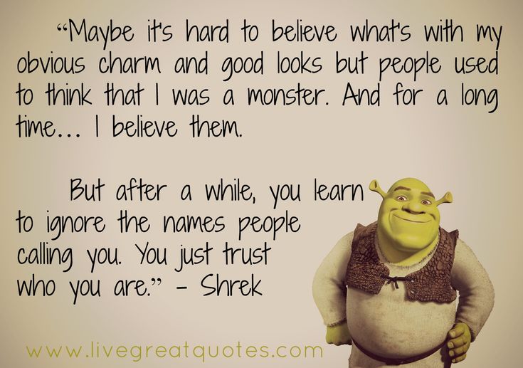 best shrek quotes about friendship