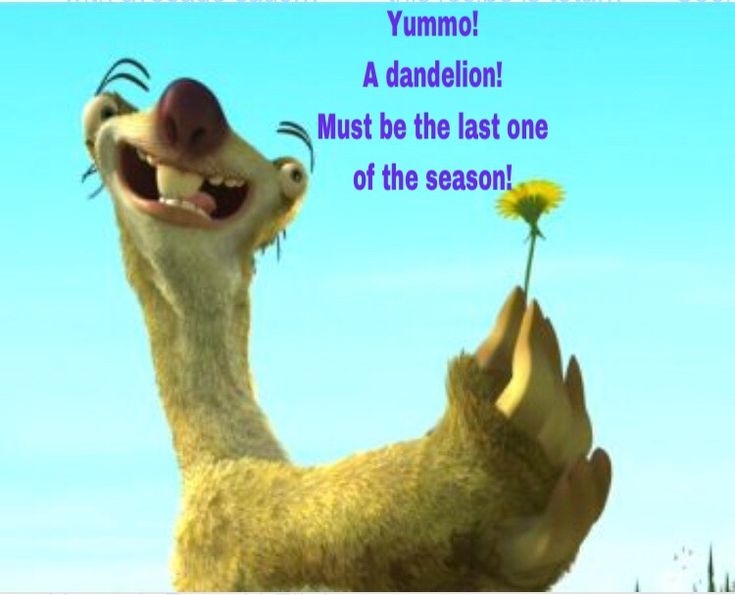 best sid ice age quotes