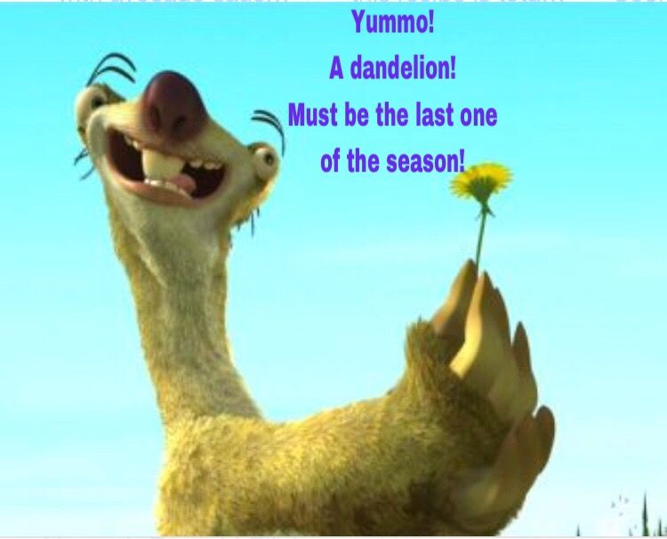 best sid the sloth quotes