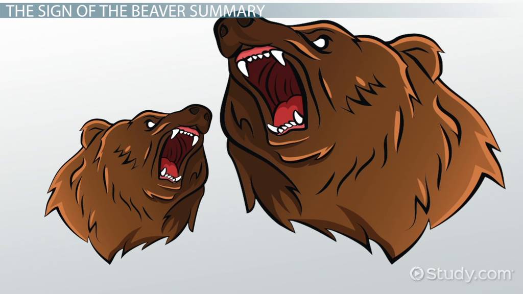 best sign of the beaver comprehension questions