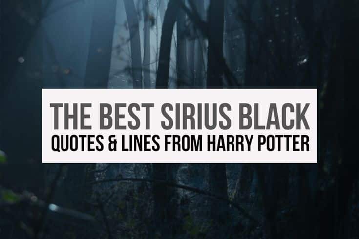 best sirius black quotes