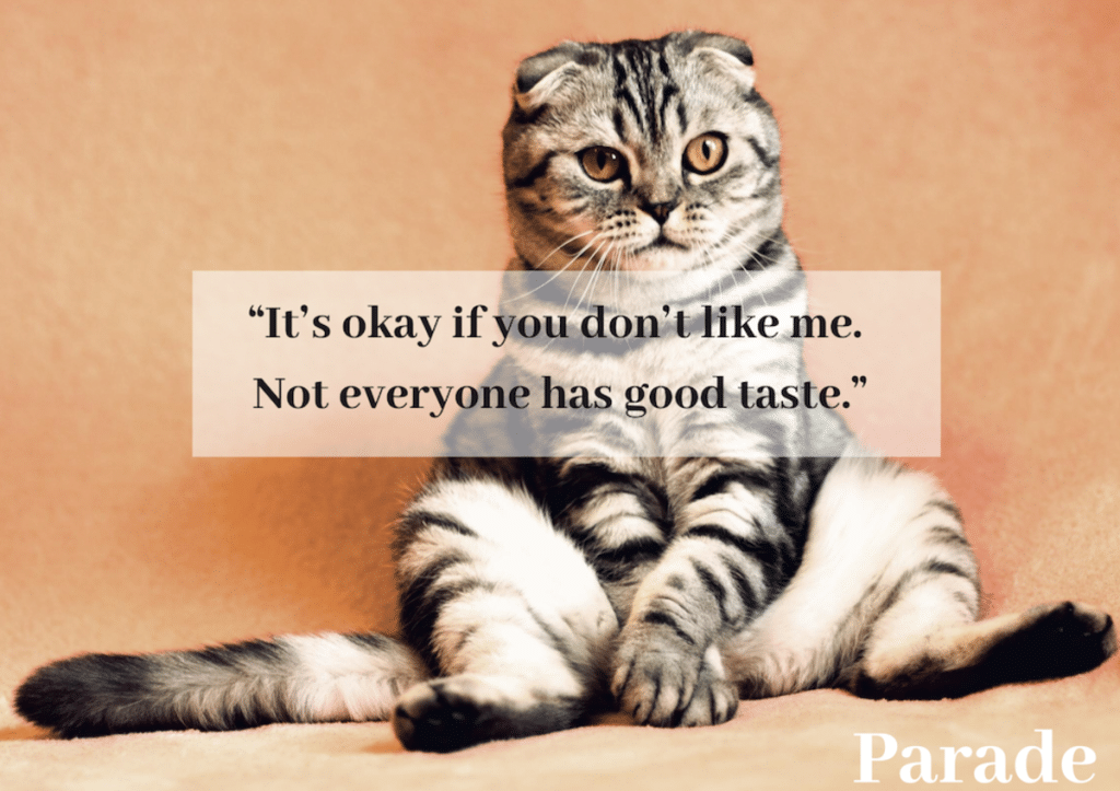 best smartass sayings and quotes