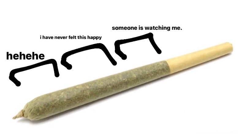 best smokes blunt questions
