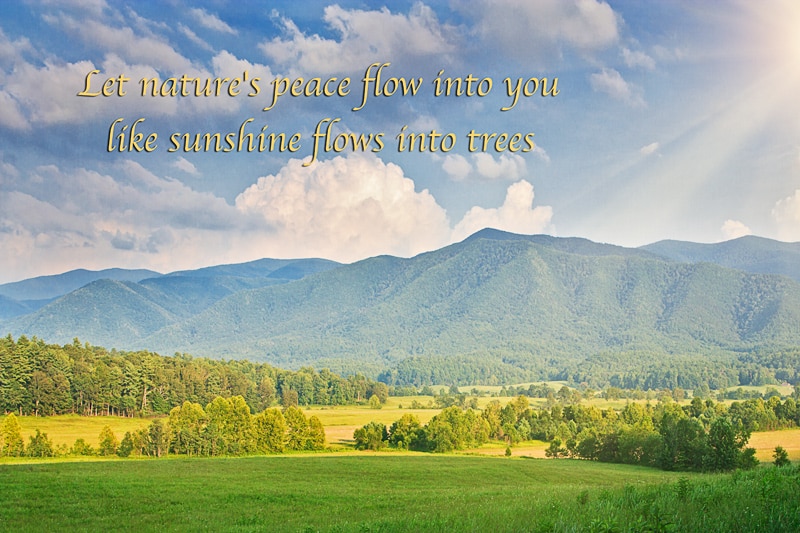 best smoky mountains quotes