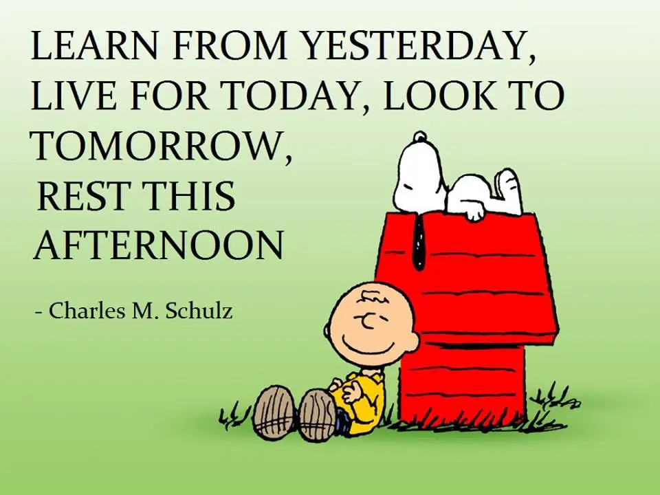 best snoopy life quotes