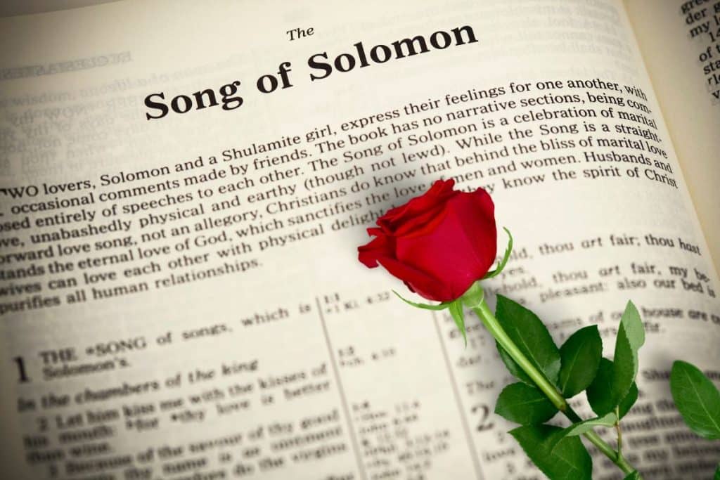 best song of solomon quotes bible