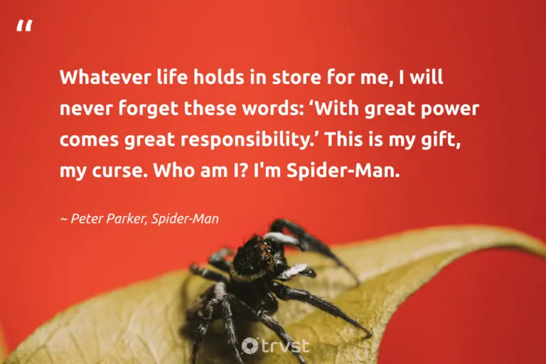 best spider quotes