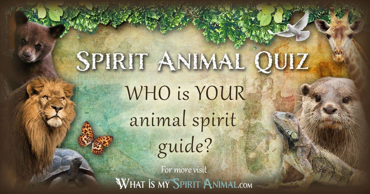 best spirit animal quiz 20 questions