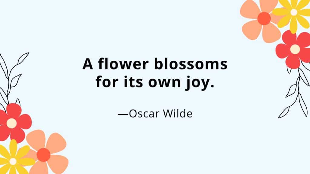best spring break quotes