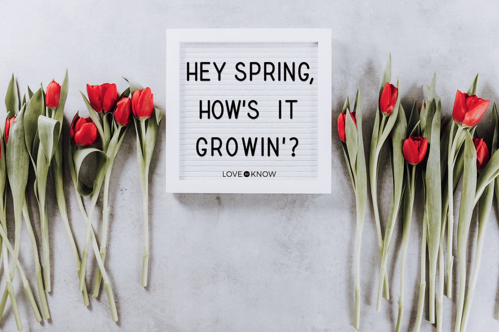 best spring message board quotes