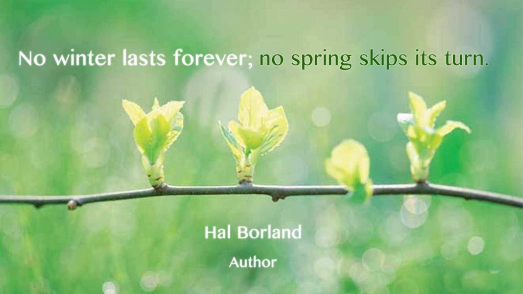 best spring vibe quotes