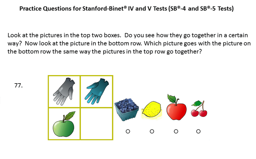 best stanford binet test questions