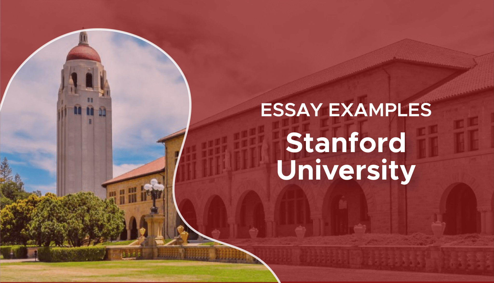 best stanford short answer questions