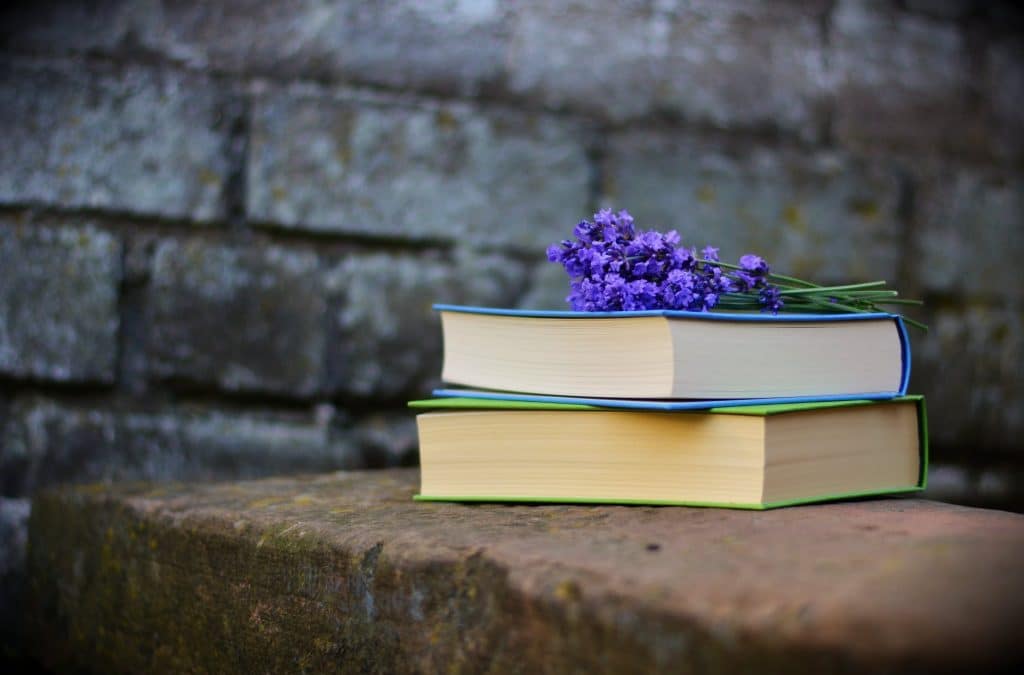 best still life book club questions