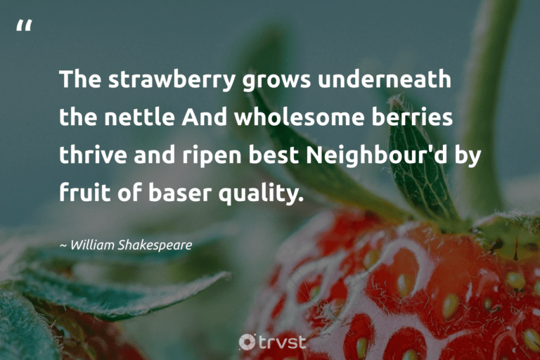 best strawberry quotes