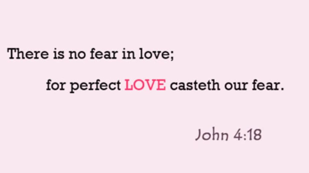 best stupidest bible quotes