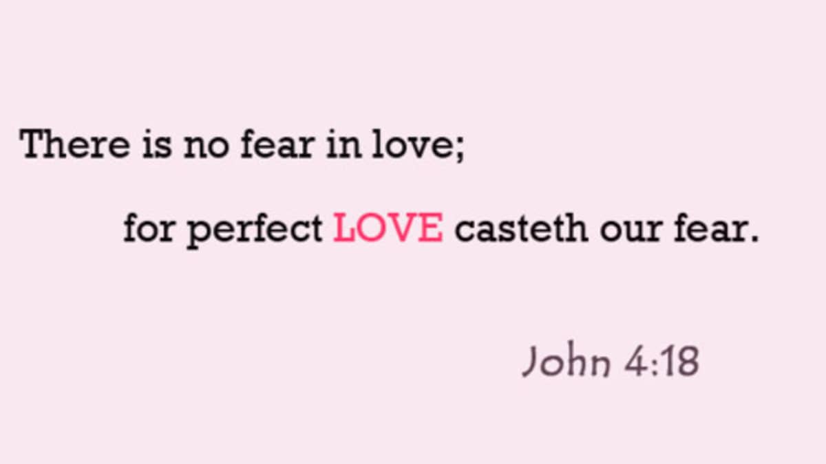 best stupidest bible quotes
