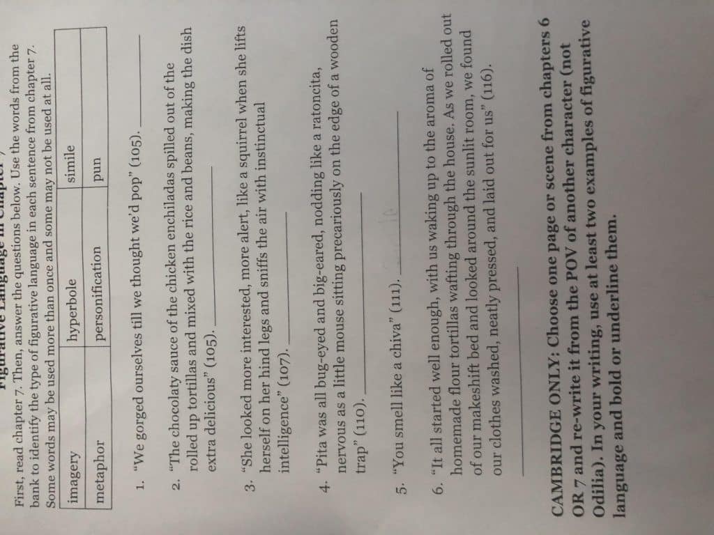 best summer of the mariposas questions and answers scaled