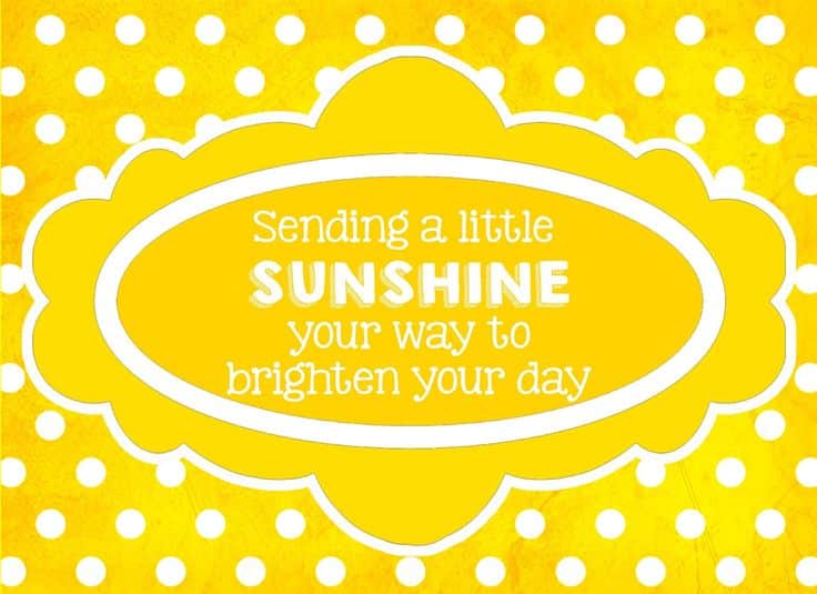 best sunshine box quotes