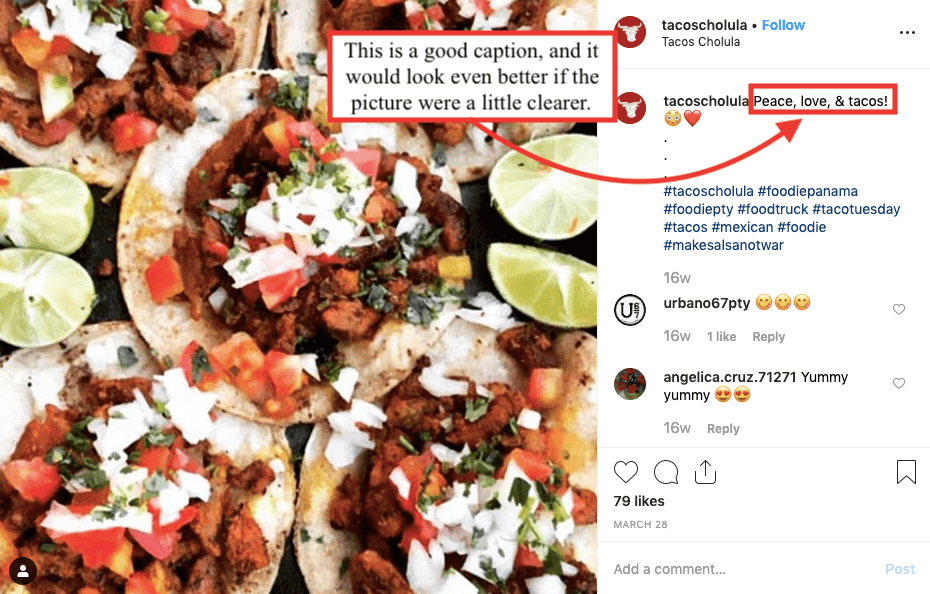 best taco tuesday quotes