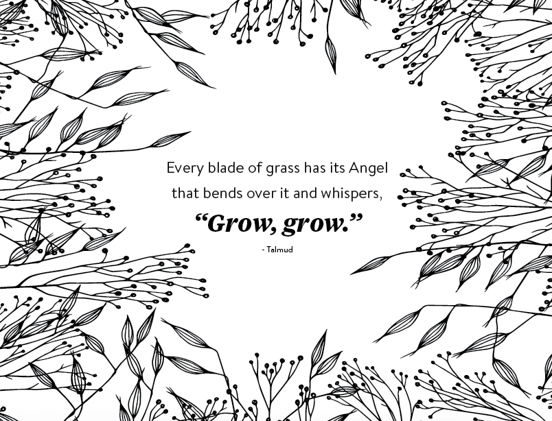 best talmud quotes