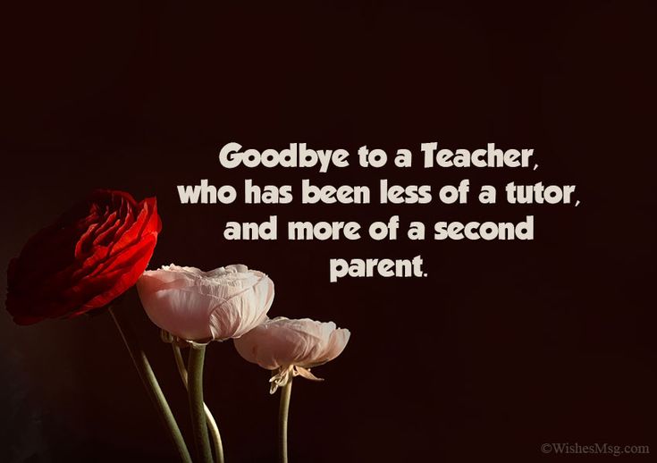 best teacher leaving quotes