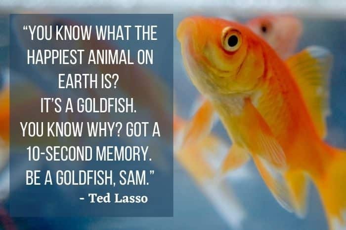 best ted lasso quotes goldfish
