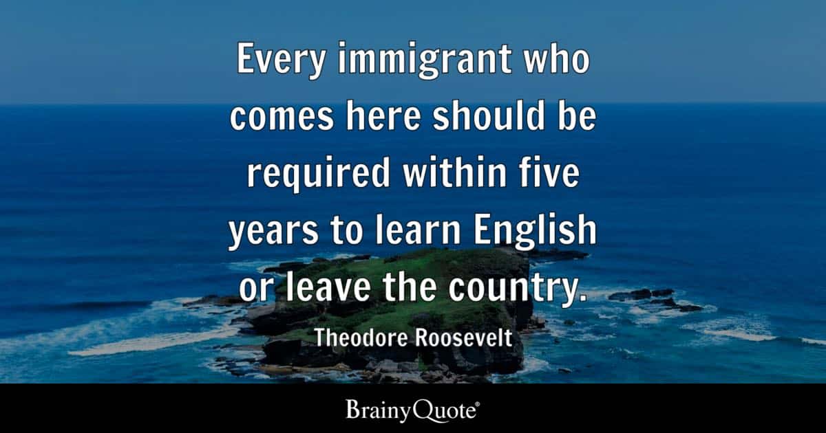 best teddy roosevelt immigration quotes