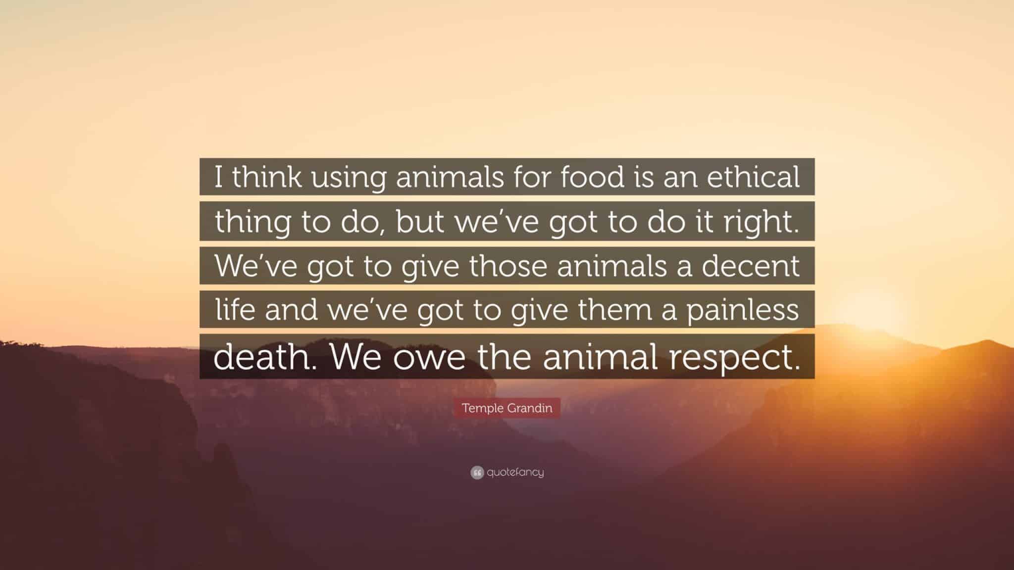 best temple grandin quotes about animals scaled
