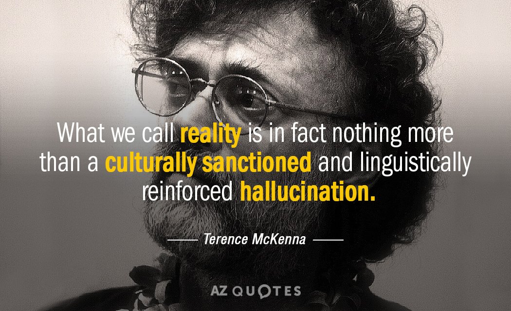 best terence mckenna quotes