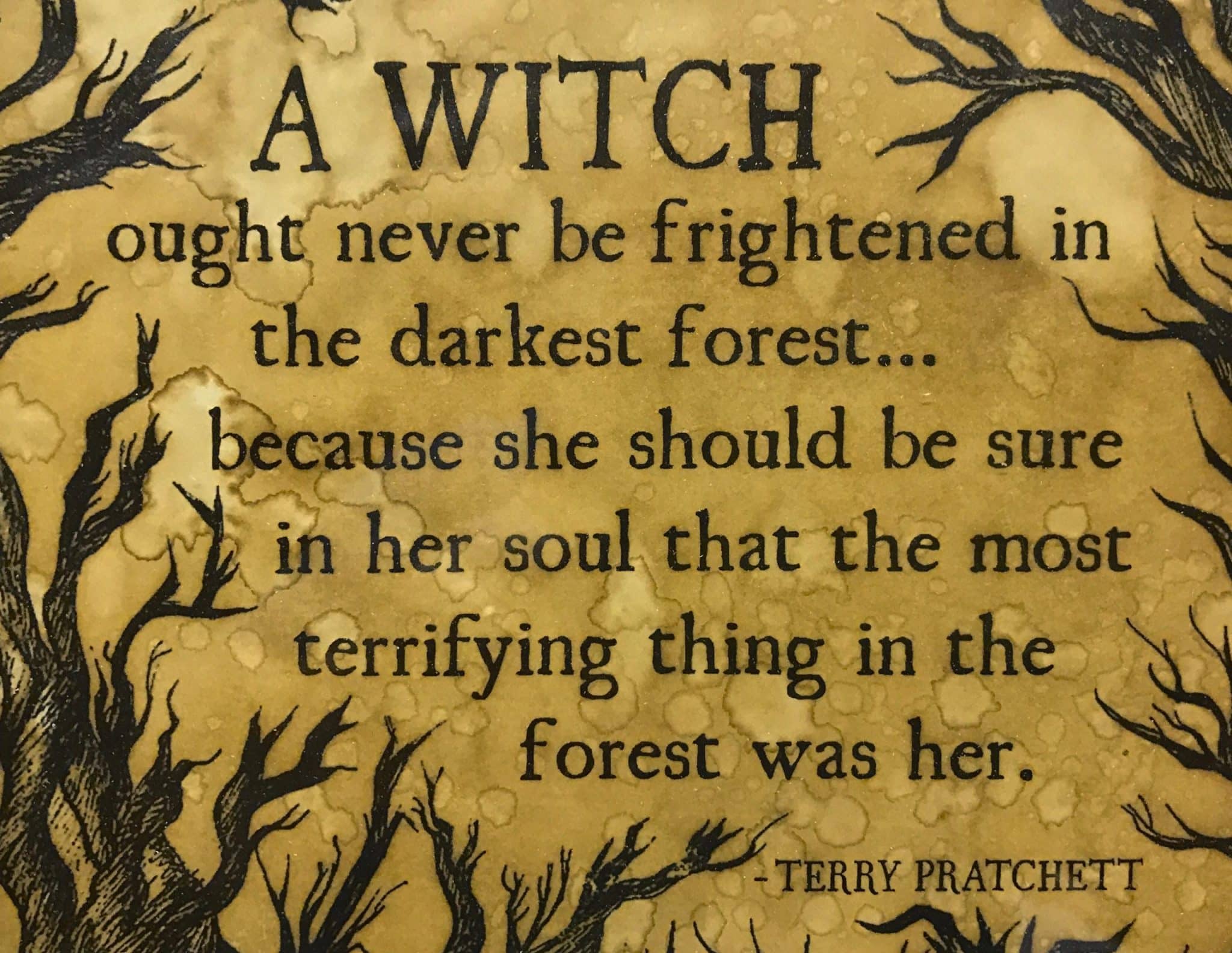 best terry pratchett discworld quotes scaled