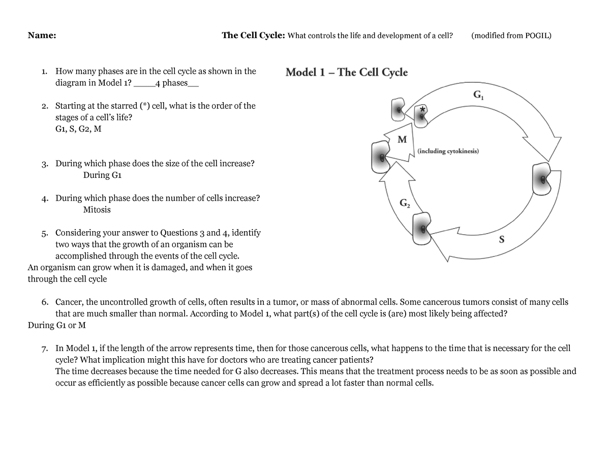best the cell cycle pogil extension questions