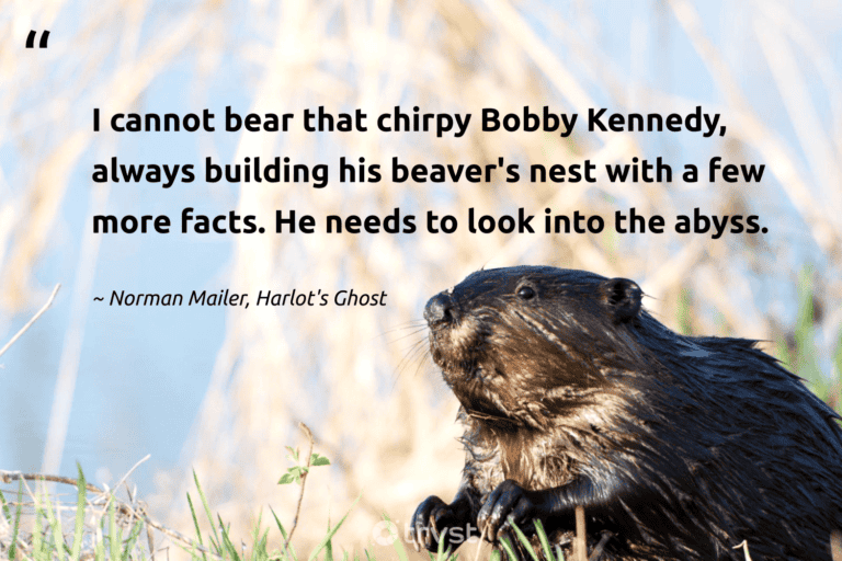 best the funny beaver quotes